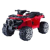 2019 New Tot Kids ATV Quad, Kids Racing Quad, Electric Quad for Kids (ST-M5258)